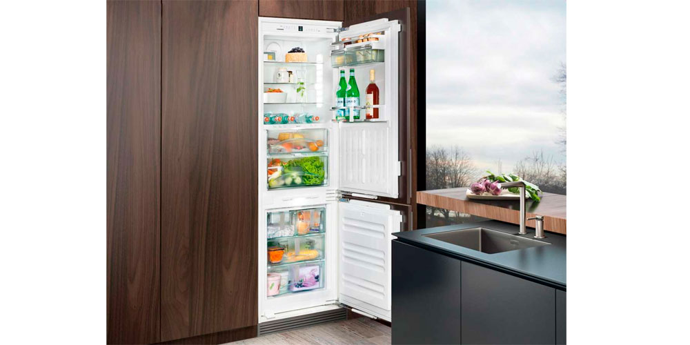 Какие бывают встраиваемые холодильники, их особенности